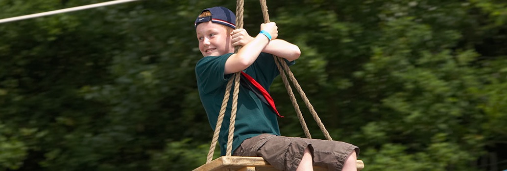 Cub on a swing